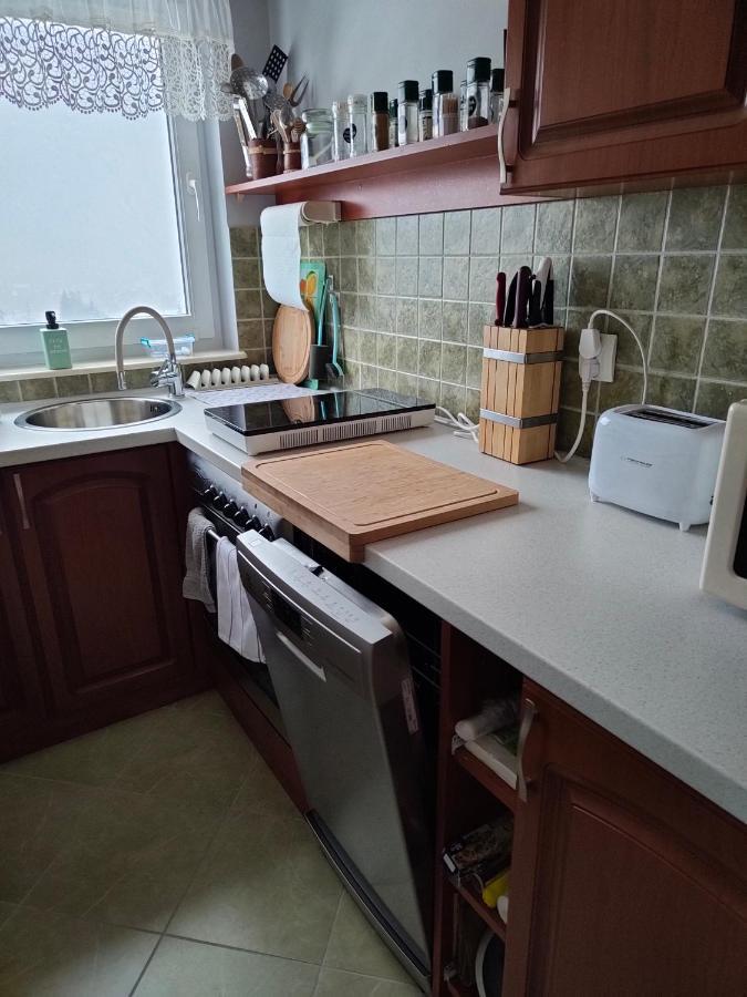 Apartament Zlap Oddech ซาโกปาเน ภายนอก รูปภาพ